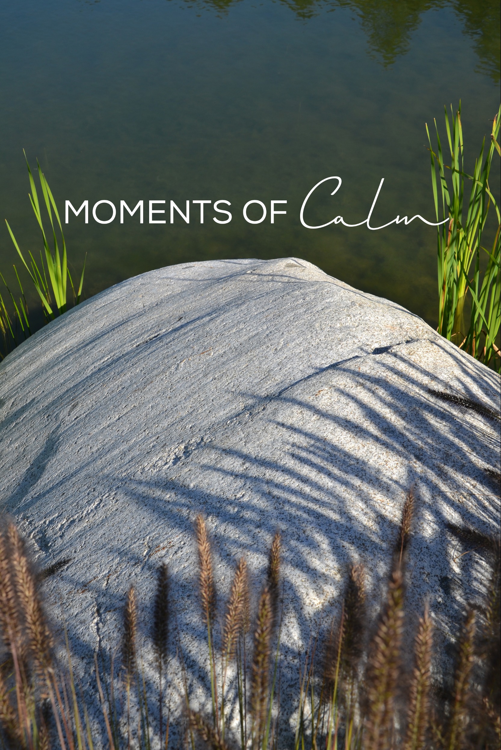 Moments of calm