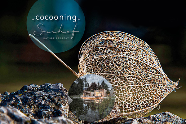 Nuove emozioni, una nuova fiducia, nuove prospettive