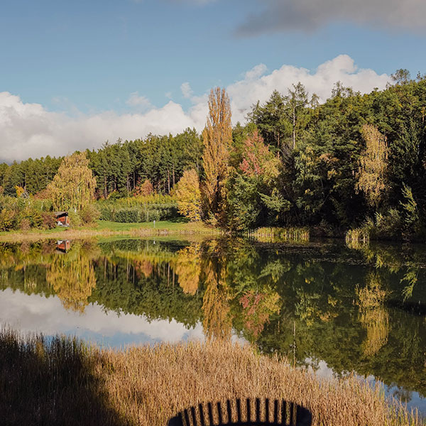 Alto Adige in autunno