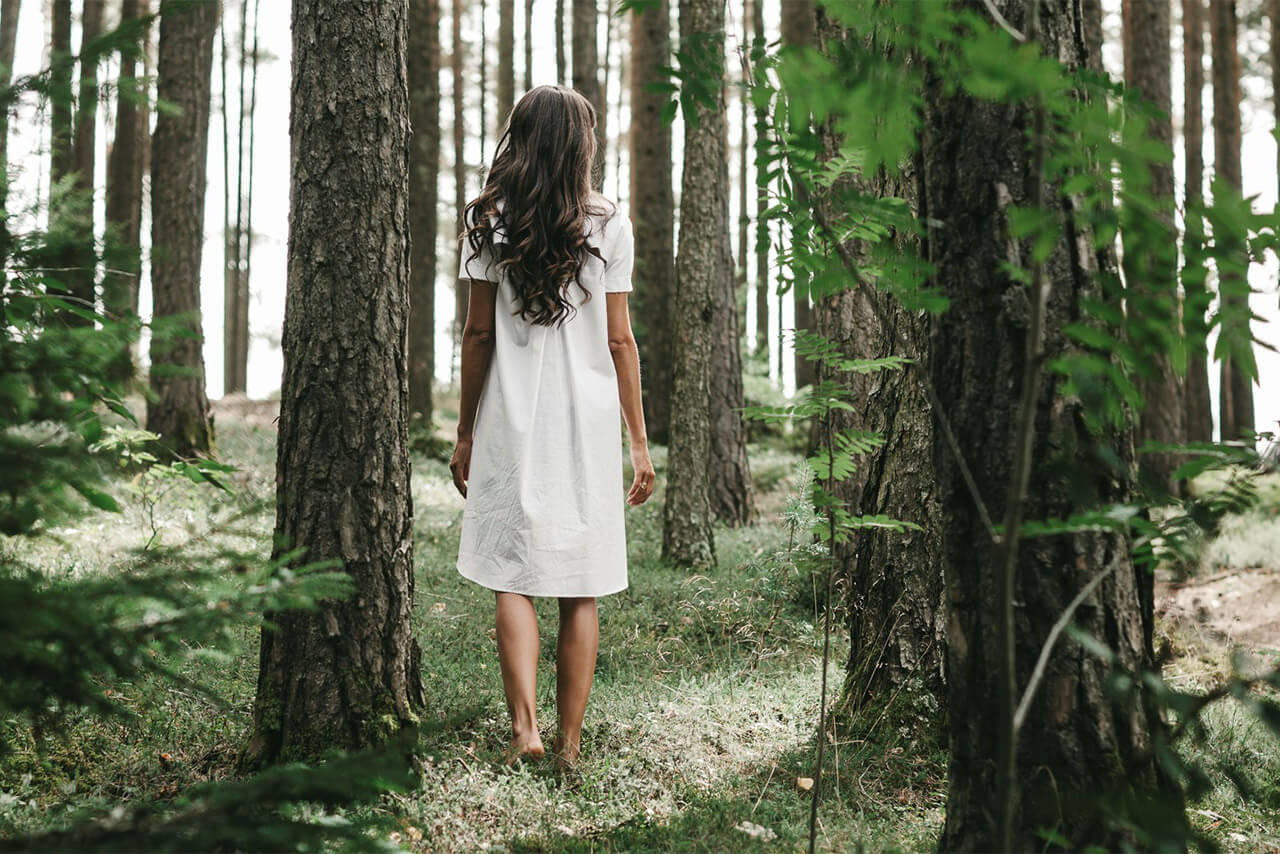 Forest bathing at the Seehof