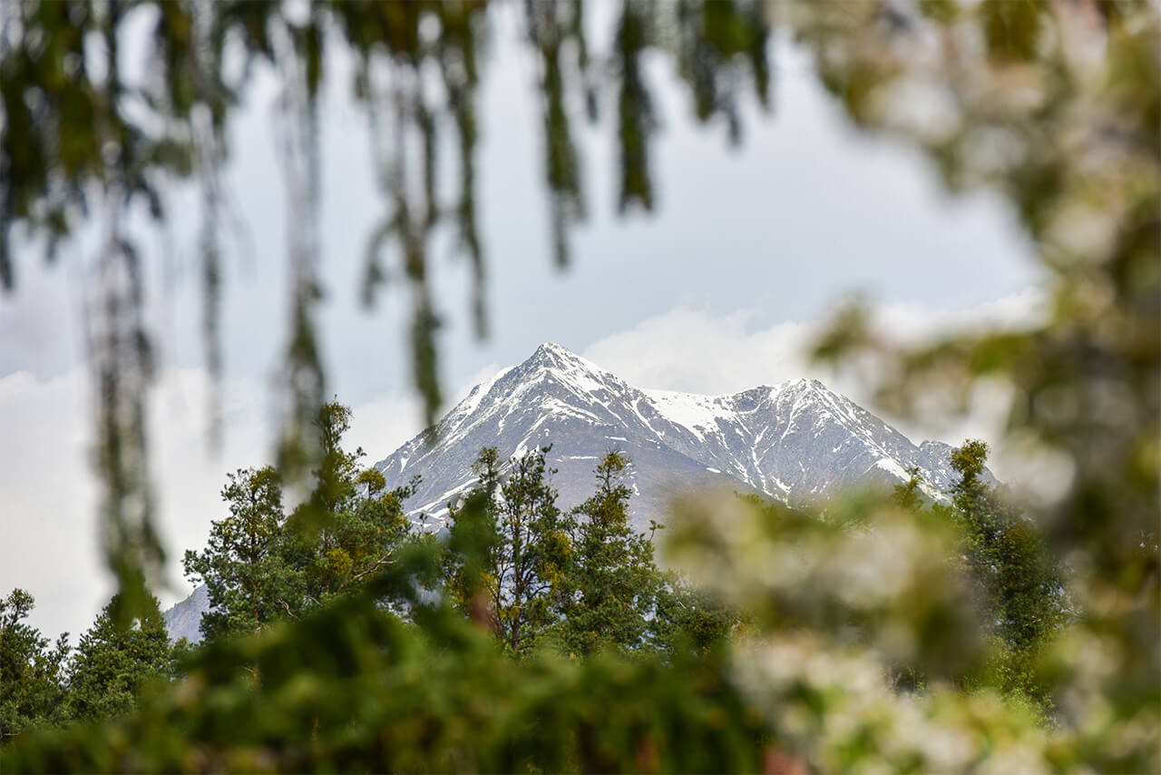 Le montagne in autunno