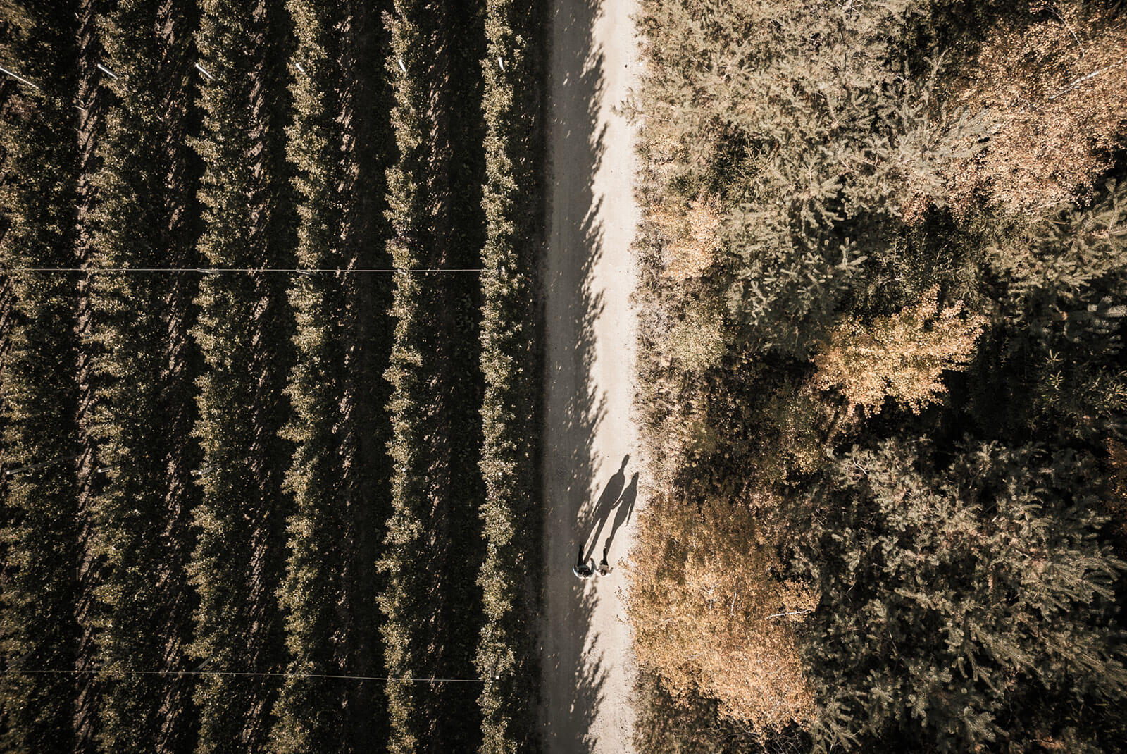 Seehof Nature Retreat im Herbst genießen