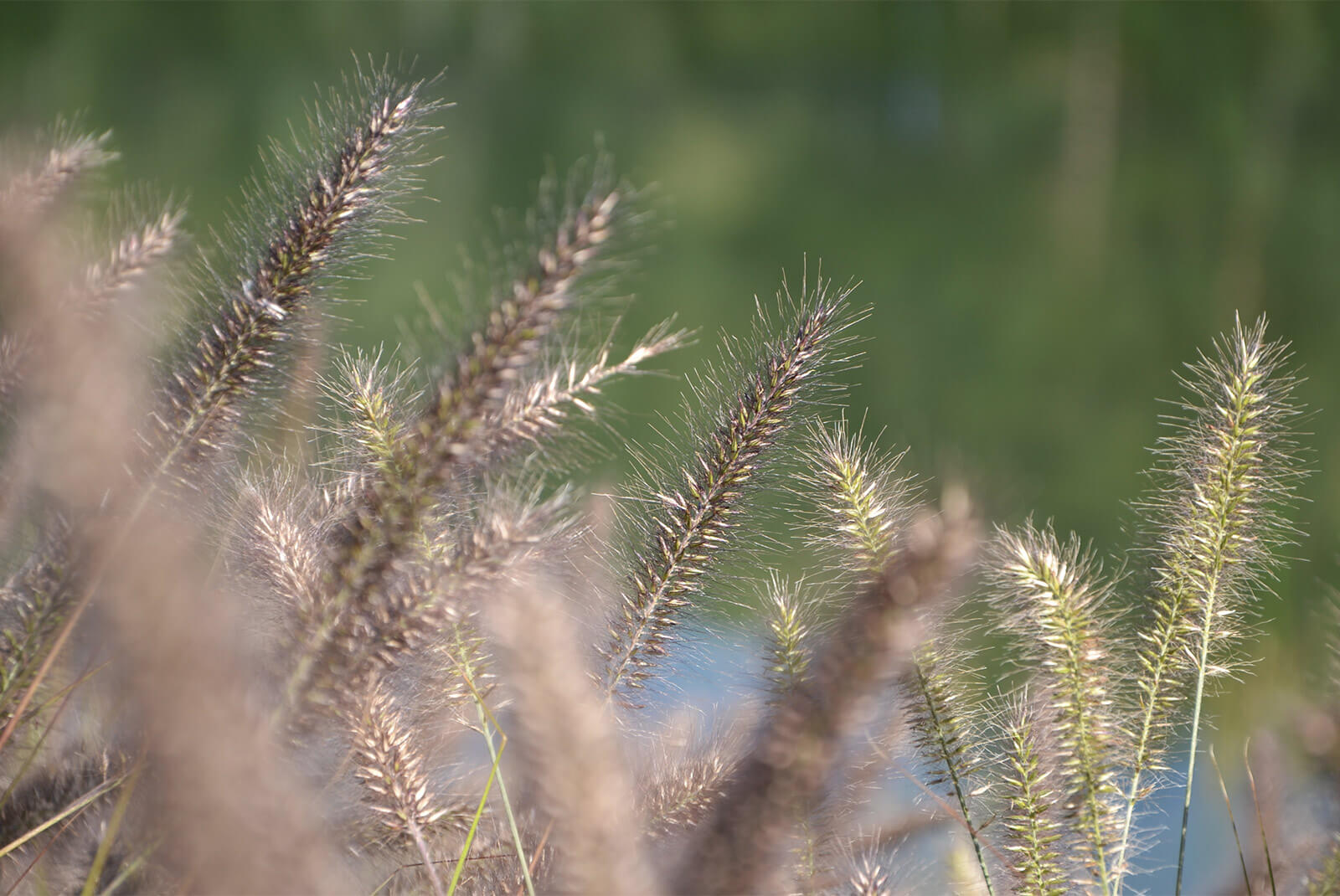 Colourful autumn at Seehof