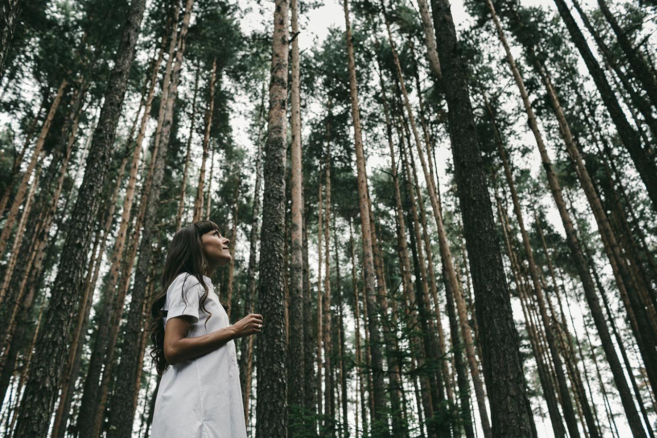 Der Wald lebt. Der Wald erdet.