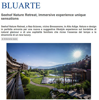 Bluarte